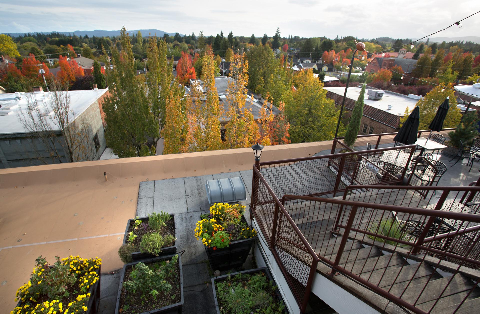 Mcmenamins Hotel Oregon แม็คมินวิลล์ ภายนอก รูปภาพ